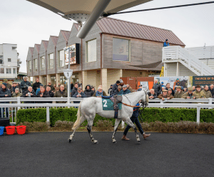 Grandstand & Paddock enclosure